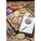 Play & Explore Bugs Set of 8 - Modern Teaching Aids NZ