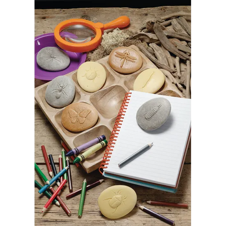 Play & Explore Bugs Set of 8 - Modern Teaching Aids NZ