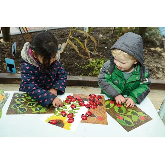 Ladybirds Early Number Cards Set - Modern Teaching Aids NZ