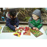 Ladybirds Early Number Cards Set - Modern Teaching Aids NZ