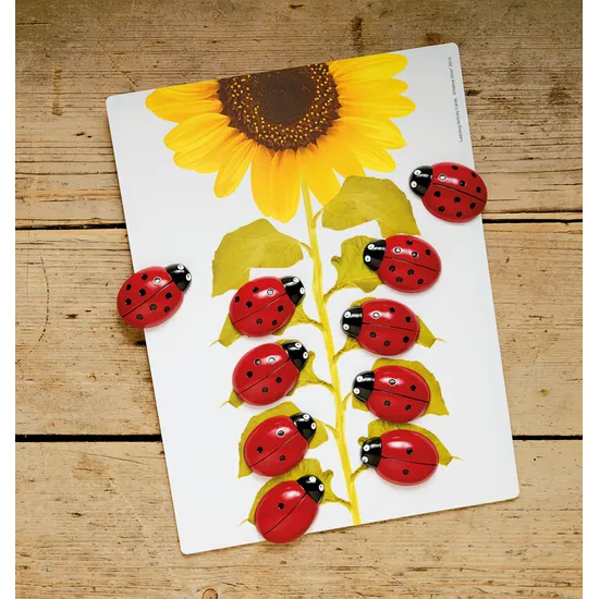 Ladybirds Early Number Cards Set - Modern Teaching Aids NZ