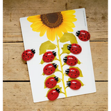 Ladybirds Early Number Cards Set - Modern Teaching Aids NZ