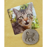 Farmyard Footprints Set of 8 - Modern Teaching Aids NZ