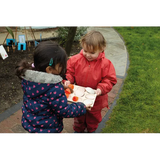 Natural Sorting Tray - Modern Teaching Aids NZ