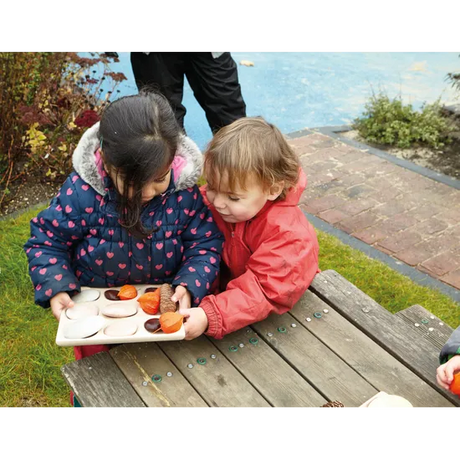 Natural Sorting Tray - Modern Teaching Aids NZ