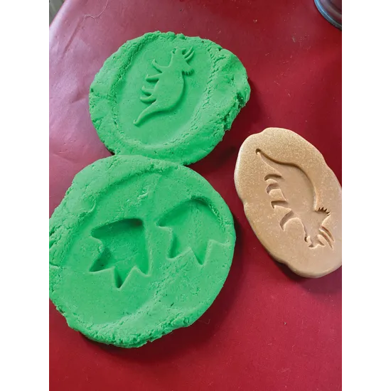 Let€™s Investigate: Dinosaur Footprints - Modern Teaching Aids NZ