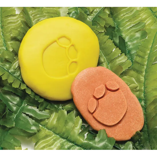 Let€™s Investigate: Dinosaur Footprints - Modern Teaching Aids NZ