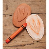 Let€™s Investigate: Dinosaur Footprints - Modern Teaching Aids NZ