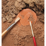 Let€™s Investigate: Dinosaur Footprints - Modern Teaching Aids NZ