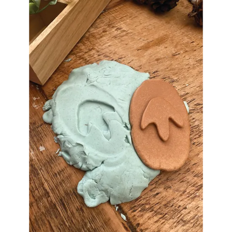 Let€™s Investigate: Dinosaur Footprints - Modern Teaching Aids NZ