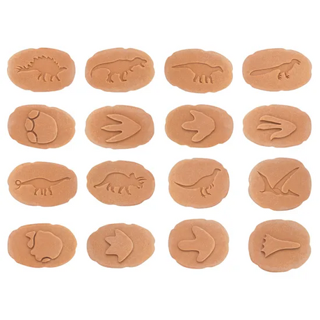 Let€™s Investigate: Dinosaur Footprints - Modern Teaching Aids NZ