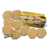 Safari Footprints - Modern Teaching Aids NZ