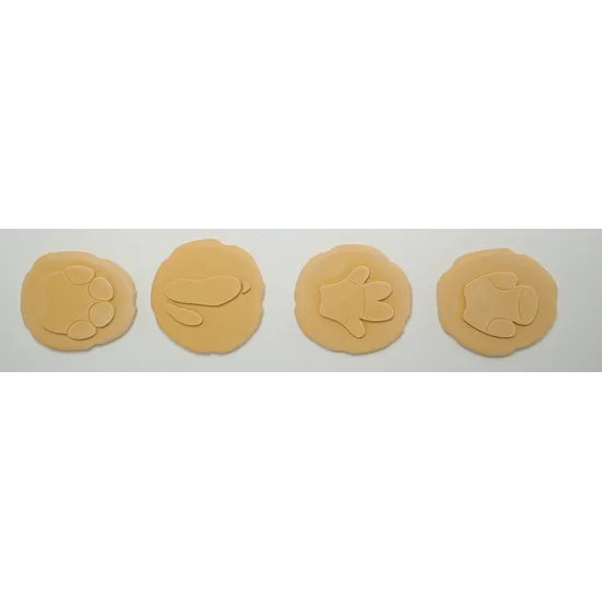 Safari Footprints - Modern Teaching Aids NZ