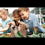 Tree Stump Play Set - Modern Teaching Aids NZ