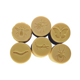 Garden Bug Rollers - Set of 6 - Modern Teaching Aids NZ