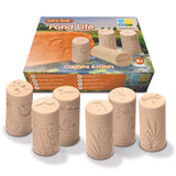Pond Life Rollers - Set of 6 - Modern Teaching Aids NZ