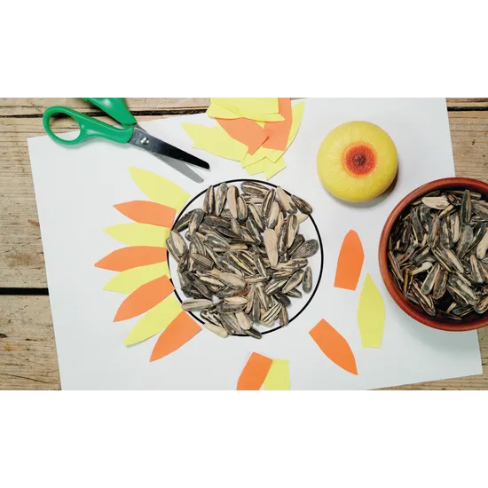 Sensory Play Flower Stones - Modern Teaching Aids NZ