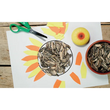 Sensory Play Flower Stones - Modern Teaching Aids NZ