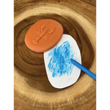 Let€™s Investigate: Seashore Sensory Stones - Modern Teaching Aids NZ