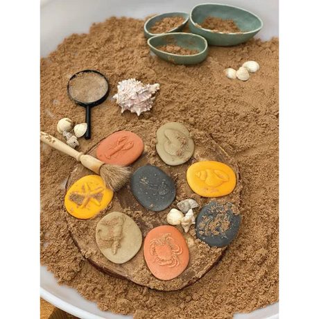 Let€™s Investigate: Seashore Sensory Stones - Modern Teaching Aids NZ