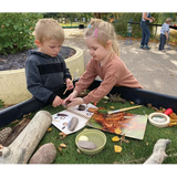 Let€™s Investigate: Prehistoric Teeth Sensory Stones - Modern Teaching Aids NZ