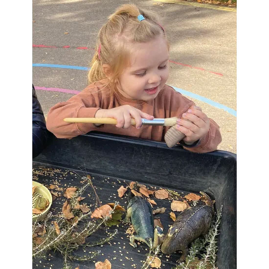 Let€™s Investigate: Prehistoric Teeth Sensory Stones - Modern Teaching Aids NZ