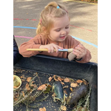 Let€™s Investigate: Prehistoric Teeth Sensory Stones - Modern Teaching Aids NZ