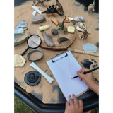 Let€™s Investigate: Prehistoric Teeth Sensory Stones - Modern Teaching Aids NZ