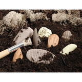 Let€™s Investigate: Prehistoric Teeth Sensory Stones - Modern Teaching Aids NZ