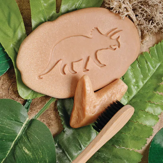 Let€™s Investigate: Prehistoric Teeth Sensory Stones - Modern Teaching Aids NZ