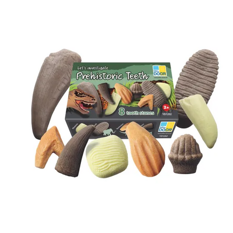 Let€™s Investigate: Prehistoric Teeth Sensory Stones - Modern Teaching Aids NZ