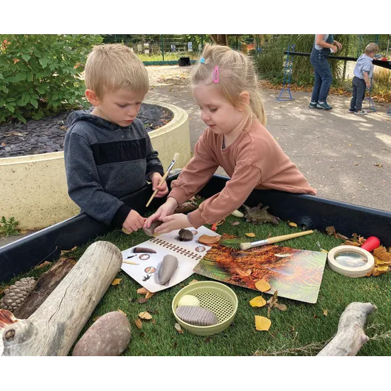 Prehistoric Teeth Explore & Discover Activity Cards - Modern Teaching Aids NZ