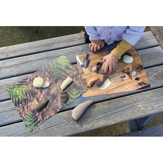 Prehistoric Teeth Explore & Discover Activity Cards - Modern Teaching Aids NZ