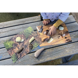 Prehistoric Teeth Explore & Discover Activity Cards - Modern Teaching Aids NZ