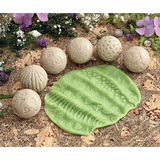 Nature Rollers - Pack of 6 - Modern Teaching Aids NZ