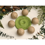 Nature Rollers - Pack of 6 - Modern Teaching Aids NZ