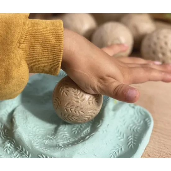 Nature Rollers - Pack of 6 - Modern Teaching Aids NZ