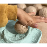 Nature Rollers - Pack of 6 - Modern Teaching Aids NZ