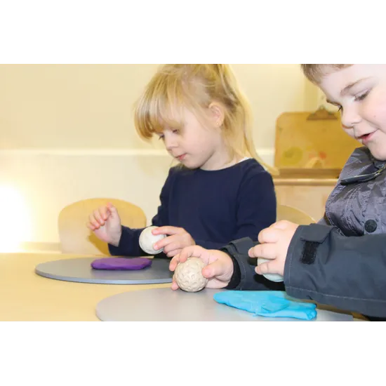 Nature Rollers - Pack of 6 - Modern Teaching Aids NZ