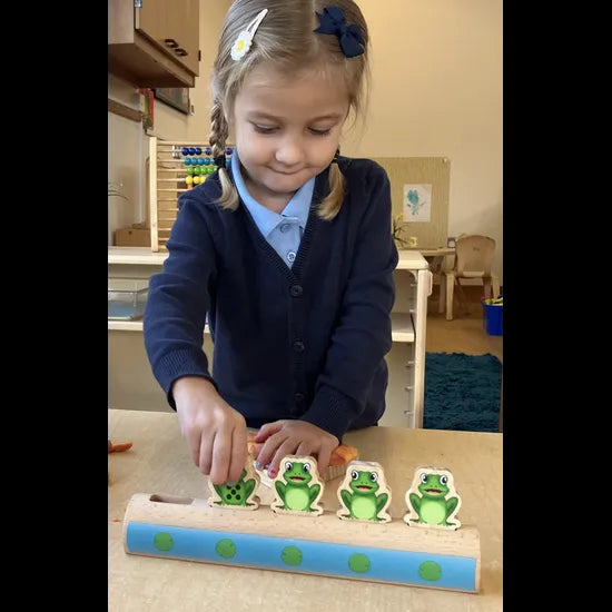 Five Frogs on a Log - Modern Teaching Aids NZ