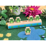 Early Numeracy with Frogs and Bears - Modern Teaching Aids NZ