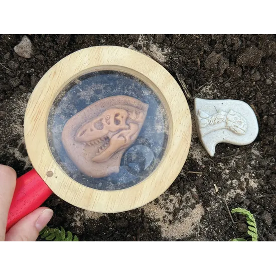 Dig and Discover - Ankylosaurus & Tyrannosaurus rex