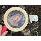 Dig and Discover - Ankylosaurus & Tyrannosaurus rex