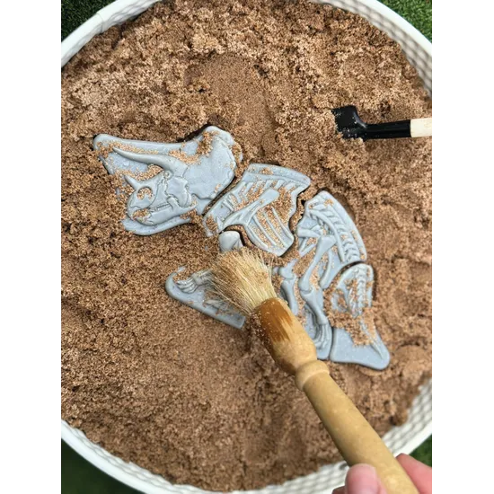 Dig and Discover Triceratops & Spinosaurus