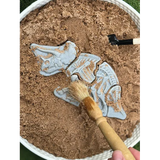 Dig and Discover Triceratops & Spinosaurus