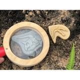 Dig and Discover Triceratops & Spinosaurus