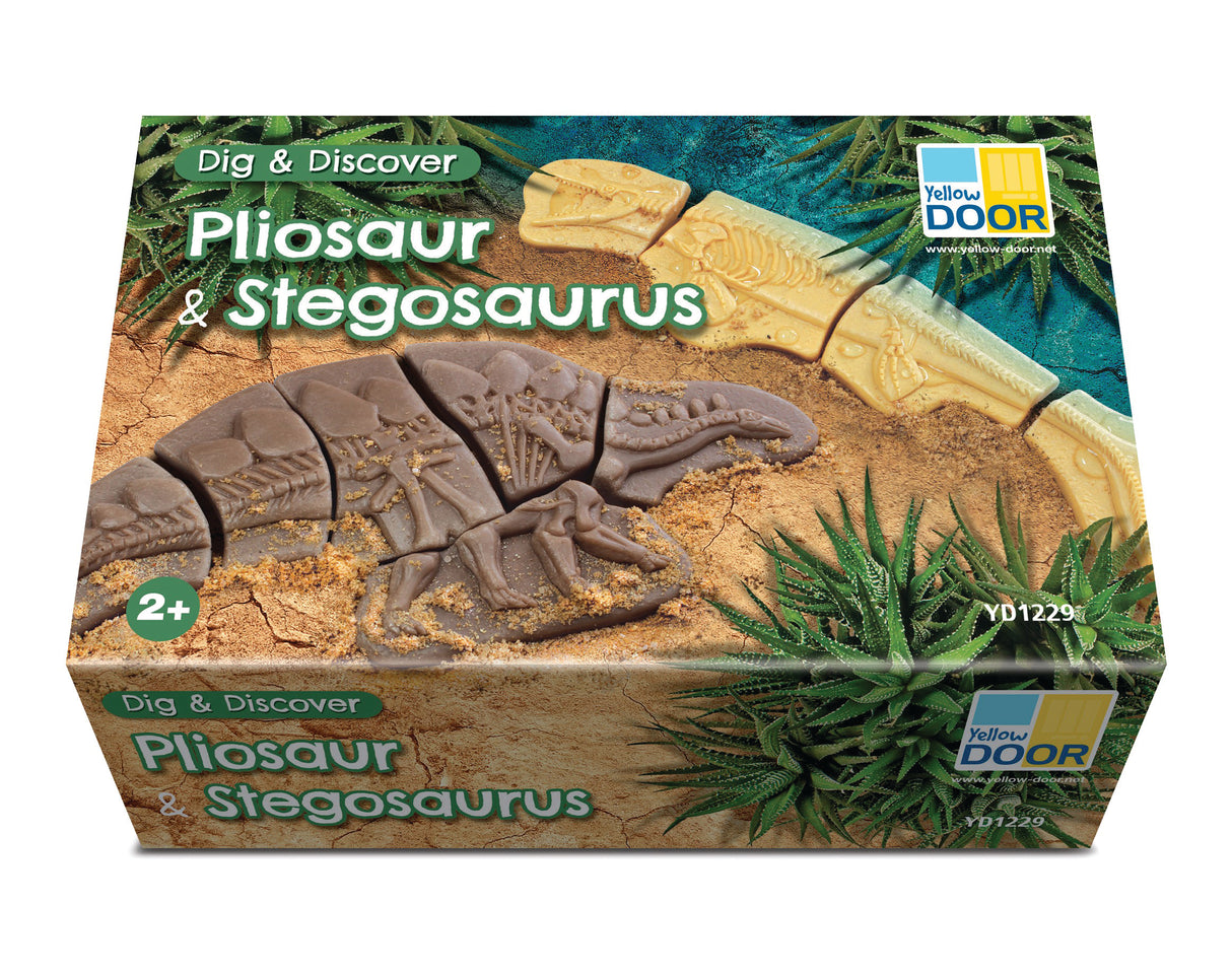Dig and Discover Pliosaur & Stegosaurus - Modern Teaching Aids NZ