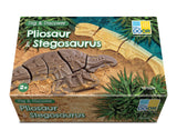 Dig and Discover Pliosaur & Stegosaurus - Modern Teaching Aids NZ