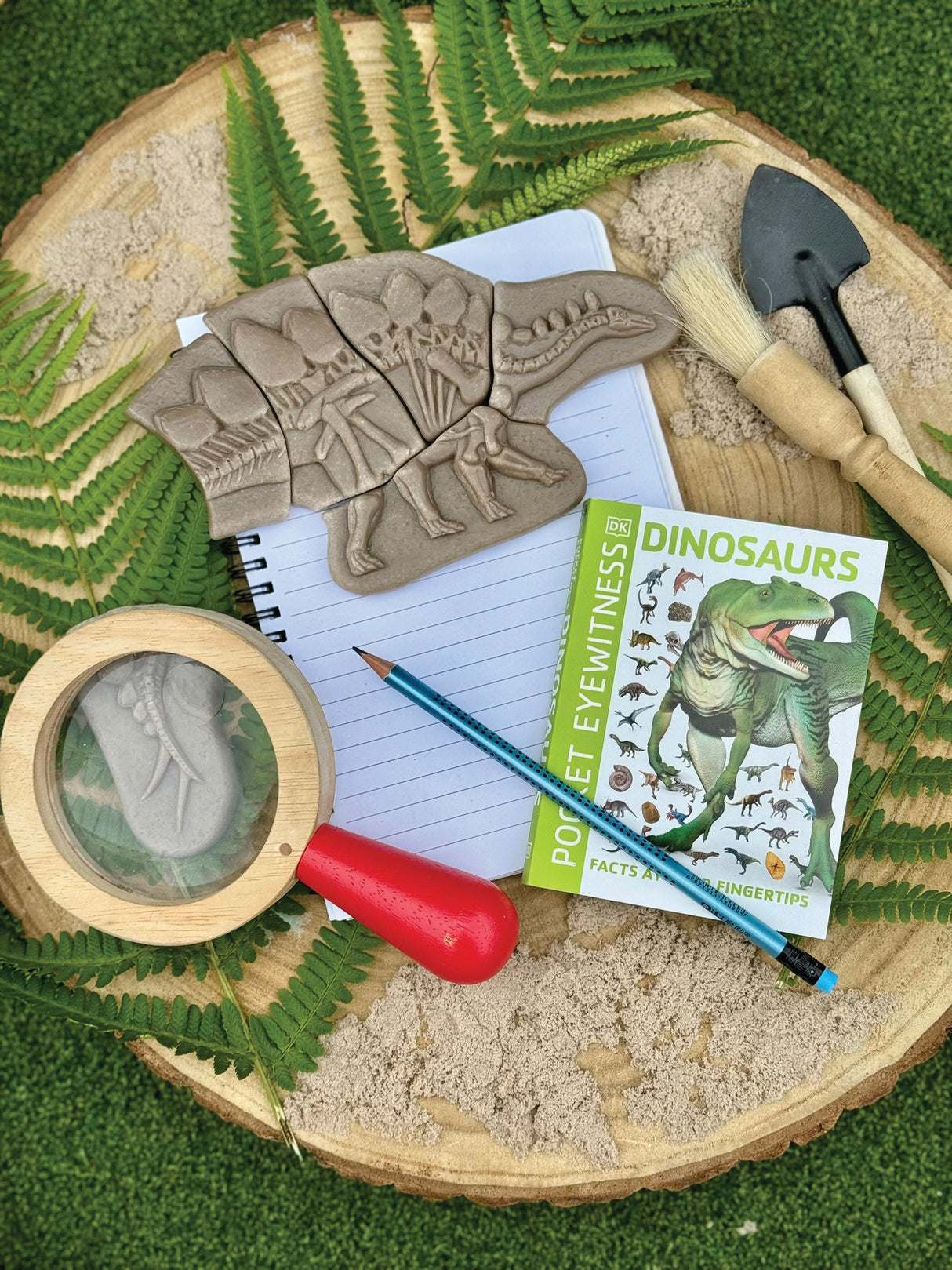 Dig and Discover Pliosaur & Stegosaurus - Modern Teaching Aids NZ