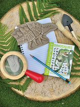 Dig and Discover Pliosaur & Stegosaurus - Modern Teaching Aids NZ